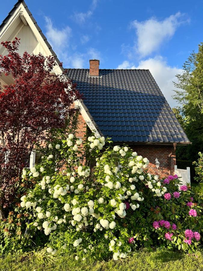 Louf Apartment Wiesmoor Exterior foto